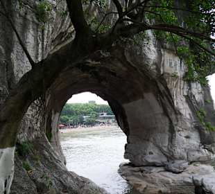 Fragment trąby słonia