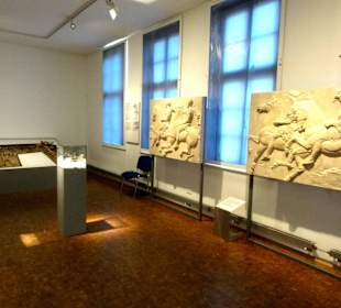 Rundgang durch das Deutsche Pferdemuseum