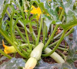 Hinterland von Naxos