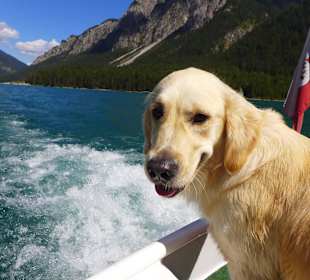 Macht auch unserem Hund Spaß