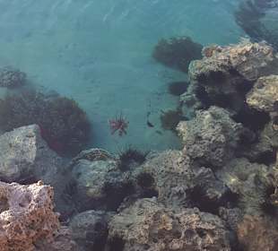 Am Bootssteg ins wasser geschaut 