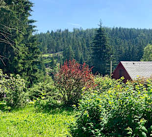 Wandern Altenberg