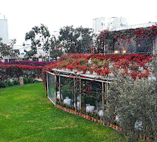 Museum Larco Restaurant