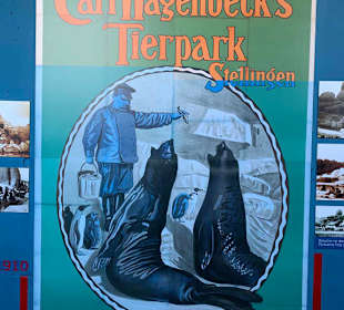 Altes Poster im Park