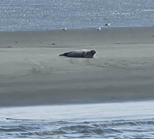 Strand Duhnen