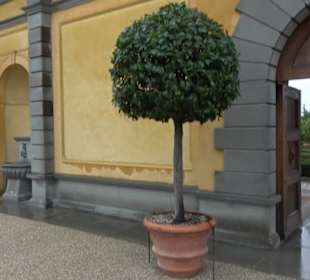 Italienischer Renaissance Garten