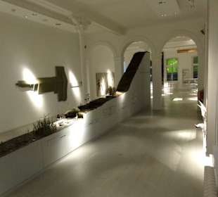 "Küste und Meer" im Landesmuseum