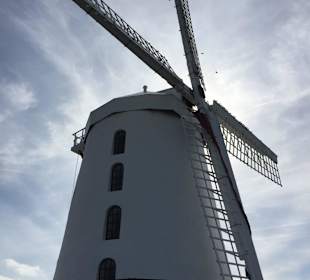 Windmühle Blennerville