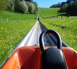 Sommerrodelbahn Peterberg in Nonnweiler
