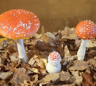 Naturwissenschaftliches Museum