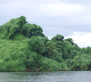 Nationalpark Los Haitises