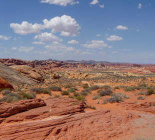 Aussicht über den Park