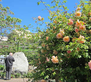 Gärten Schloss Trauttmansdorff in Meran
