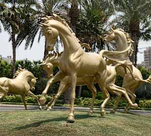 Ausflug mit dubai-privat.de