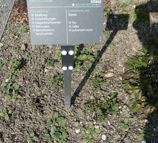 Kräuter Hinweistafel