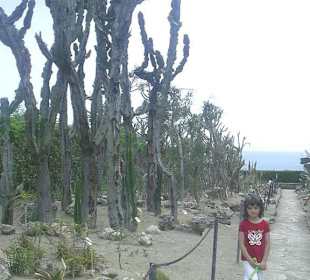 Botanischer Garten Balchik