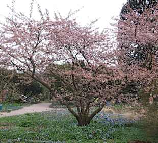 Sichtungsgarten Hermannshof