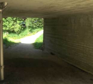 Premiumwanderweg Hochgehschätzt