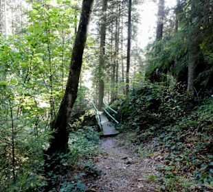 Schöner Waldweg