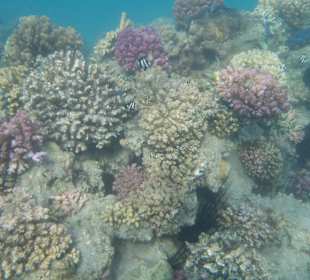 Rafa - mały fragment