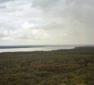 Blick vom Müggelturm