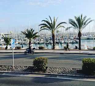 Yachthafen Can Pastilla	