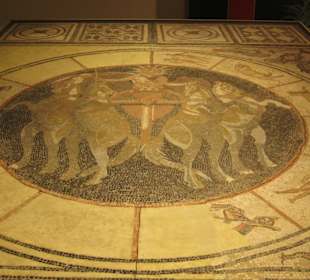 Rheinisches Landesmuseum