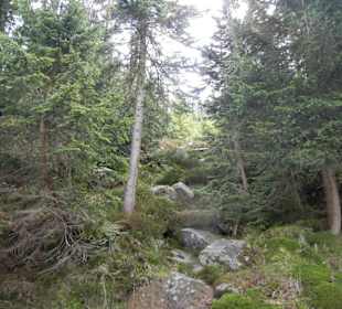 Karkonoski Park Narodowy