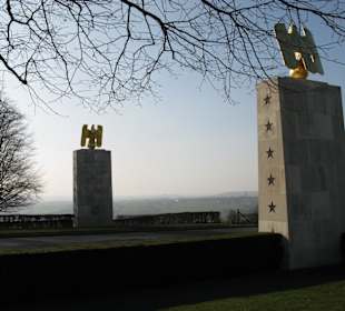 Adler säumen die Straße