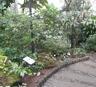 Tropicarium - Feuchte Tropen
