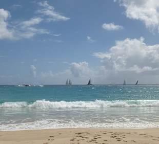Toller Blick auf die Segel-Regatta