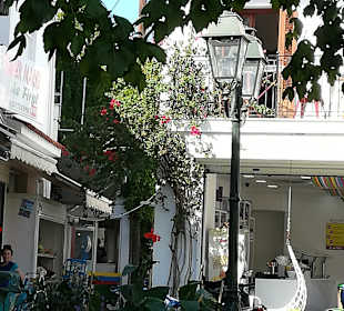 Touren & Ausflüge