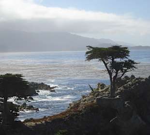 Sooo einsam ist sie gar nicht!