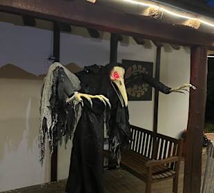 Mondo Verde Halloween