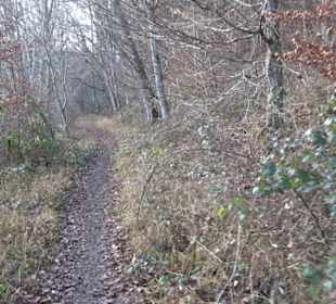 Schönbuch Schaichtal