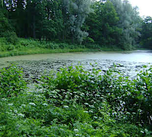 Zespół pałacowy Oranienbaum