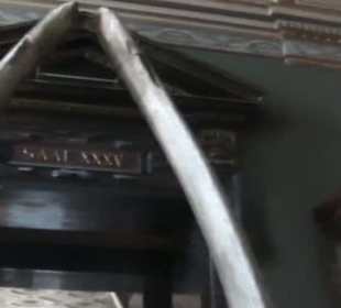 Naturhistorisches Museum