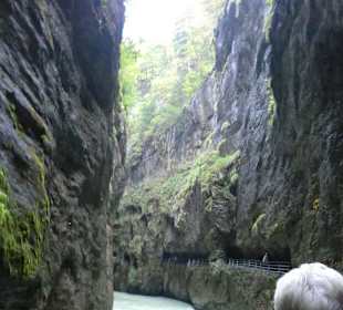 In der Aareschlucht