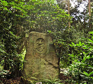 Кладбище Ольсдорф, Гамбург, 16 сентября 2013 года