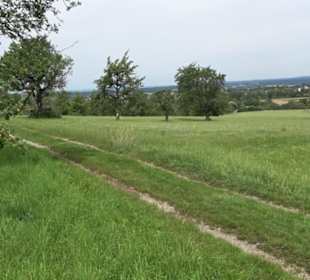 Premiumspazierweg Früchtetrauf-Leisawegle