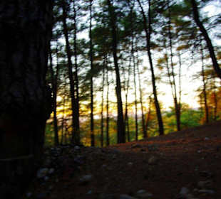 Sulahikulle - Vergessene Stadt