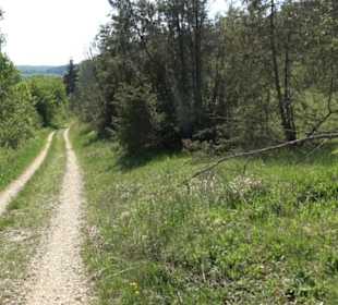 Premiumwanderweg Hochgehschätzt
