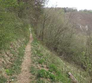 Burgruine Hohenhundersingen