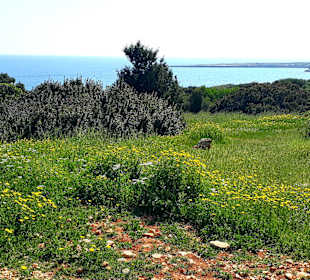 Nationalpark Kap Greco