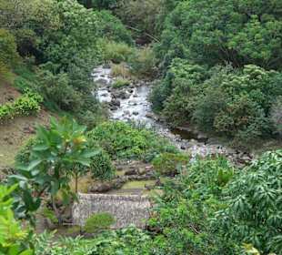 Jeder Ausblick ist fantastisch