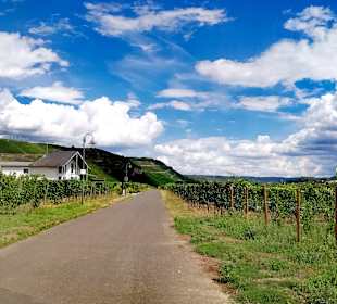 Daun-Maare-Mosel-Radweg