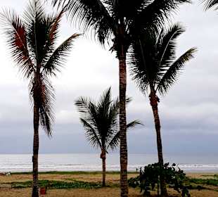 Rundgang Puerto Lopez