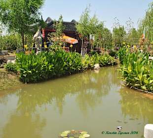 Chinahaus & Gartenanlage