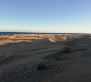 Strandpromenade Playa del Inglés