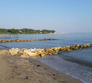 Strand Roda